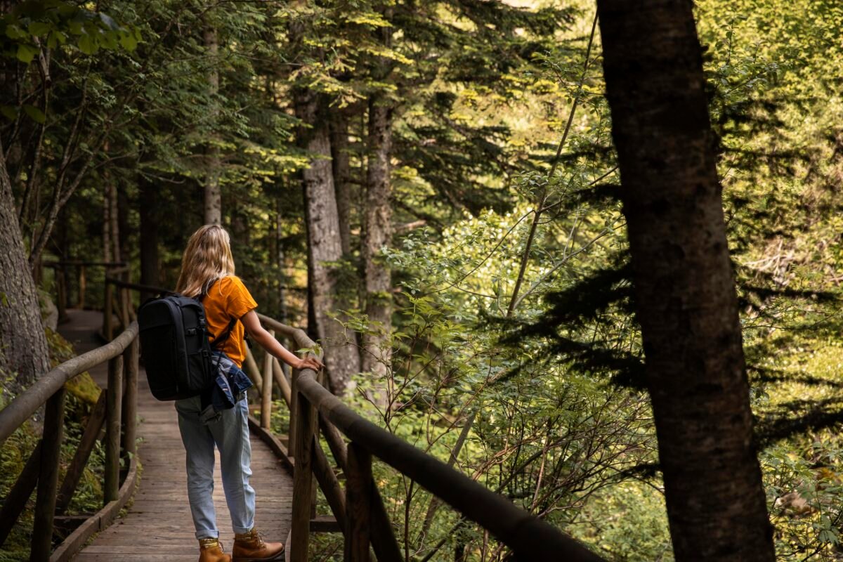 mujer viajera caminando en el bosque turismo naturaleza