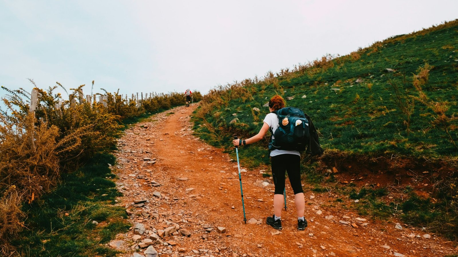 Las mejores apps y webs para organizar el Camino de Santiago